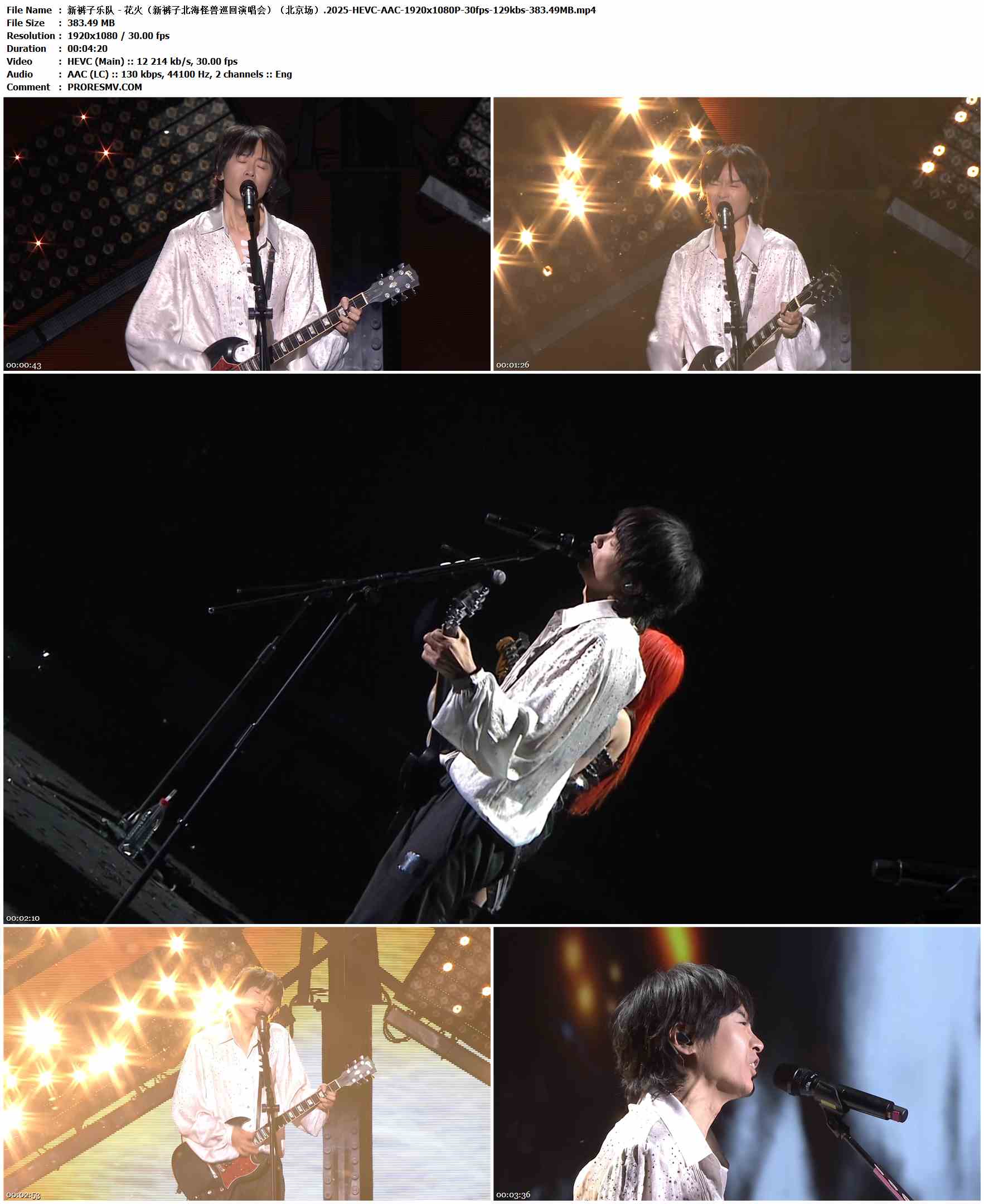 新裤子乐队 - 花火（新裤子北海怪兽巡回演唱会）（北京场）.2025-HEVC-AAC-1920x1080P-30fps-129kbs-383.49MB官方MV_高清MV